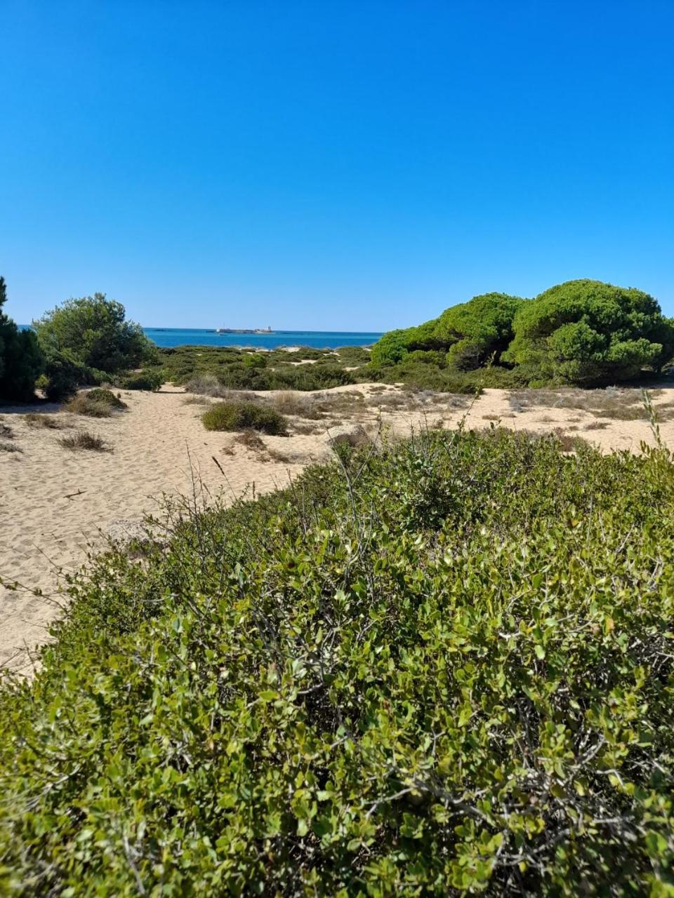 Apartamento Playa La Barrosa Chiclana de la Frontera Ngoại thất bức ảnh