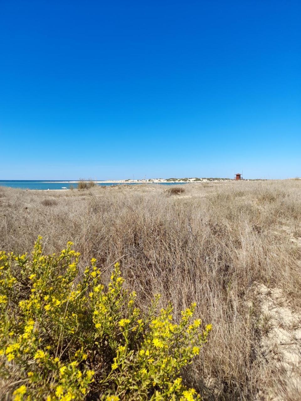Apartamento Playa La Barrosa Chiclana de la Frontera Ngoại thất bức ảnh