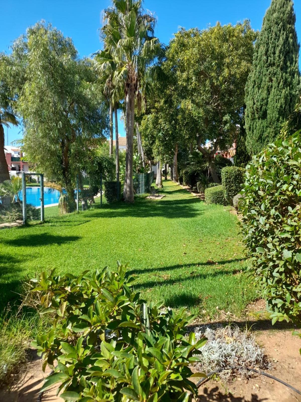 Apartamento Playa La Barrosa Chiclana de la Frontera Ngoại thất bức ảnh